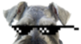 Dis dog