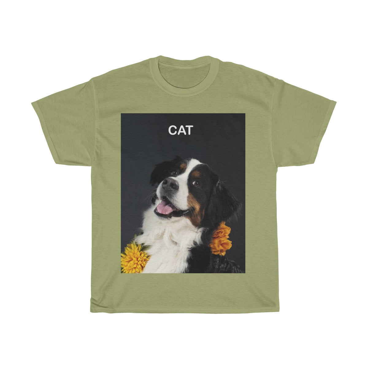 Picture of a cat