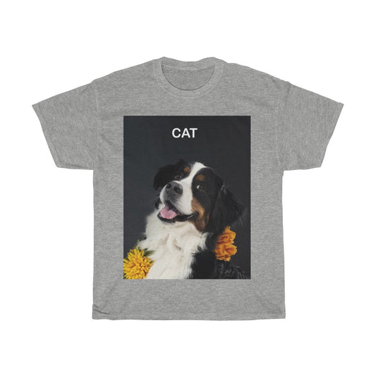 Picture of a cat