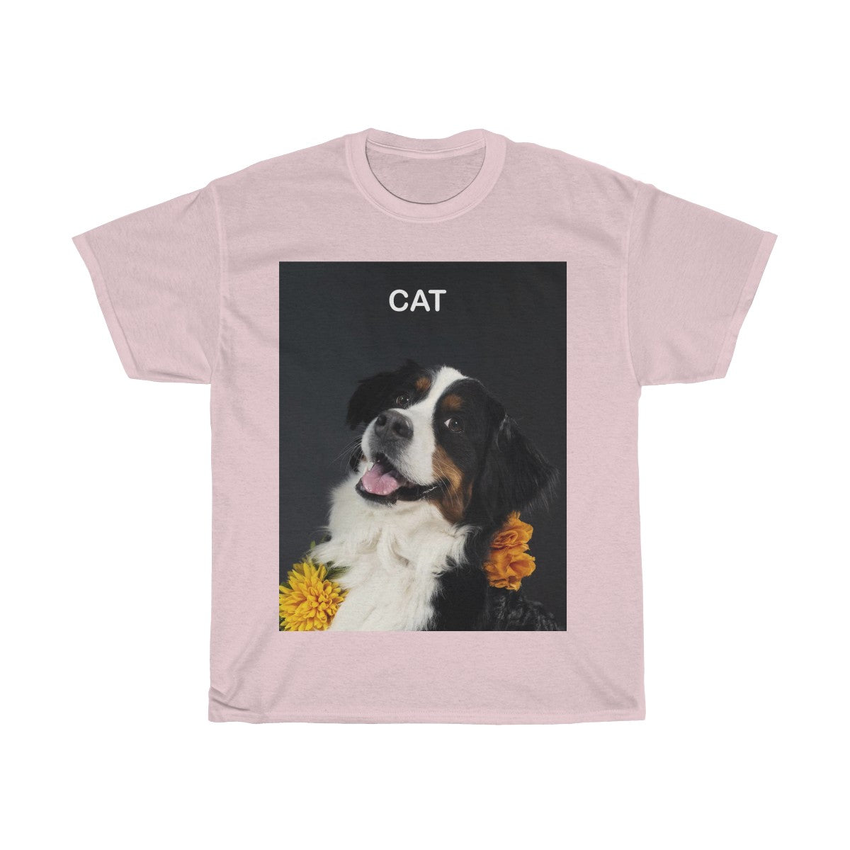 Picture of a cat