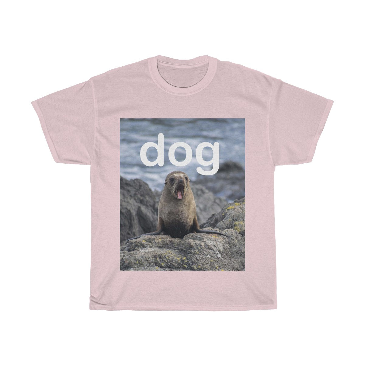 Picture of a dog