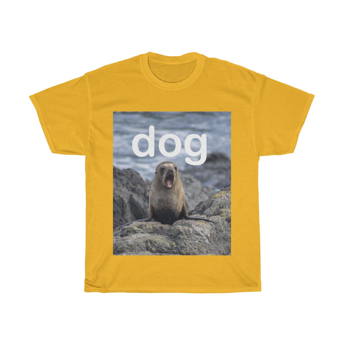 Picture of a dog