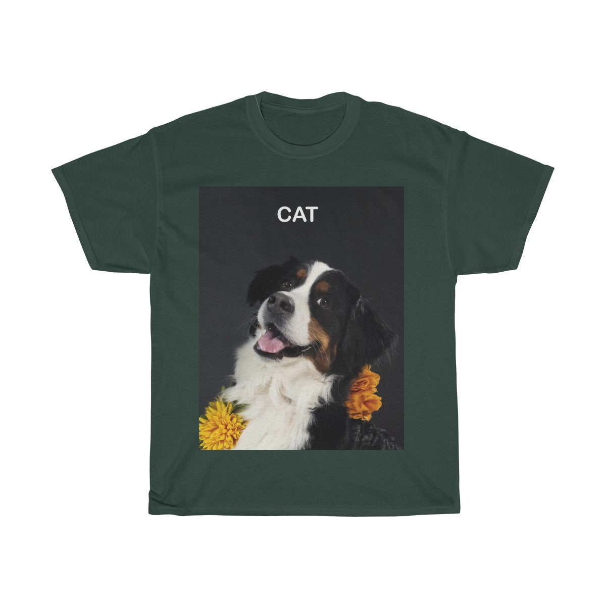 Picture of a cat