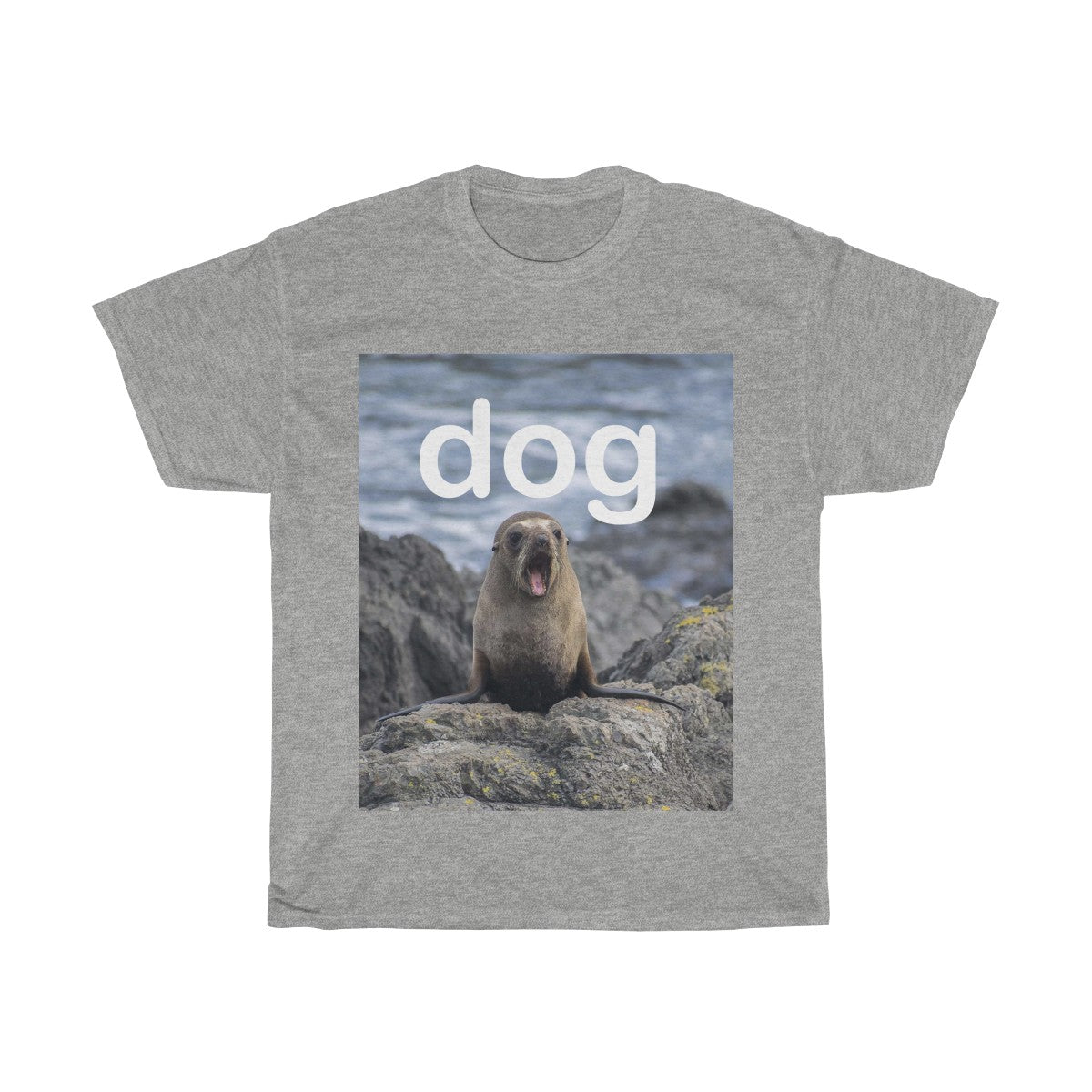 Picture of a dog