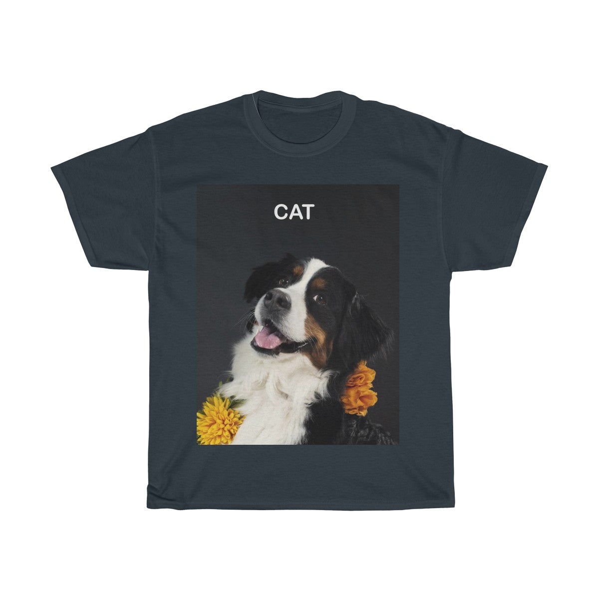Picture of a cat